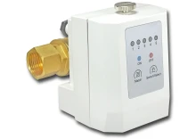 RXP2976294 : Bezprzewodowy zawór antyzalaniowy 3/4 cala